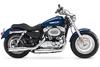 Harley-Davidson (R) Sportster(MD) 1200 Custom 2014